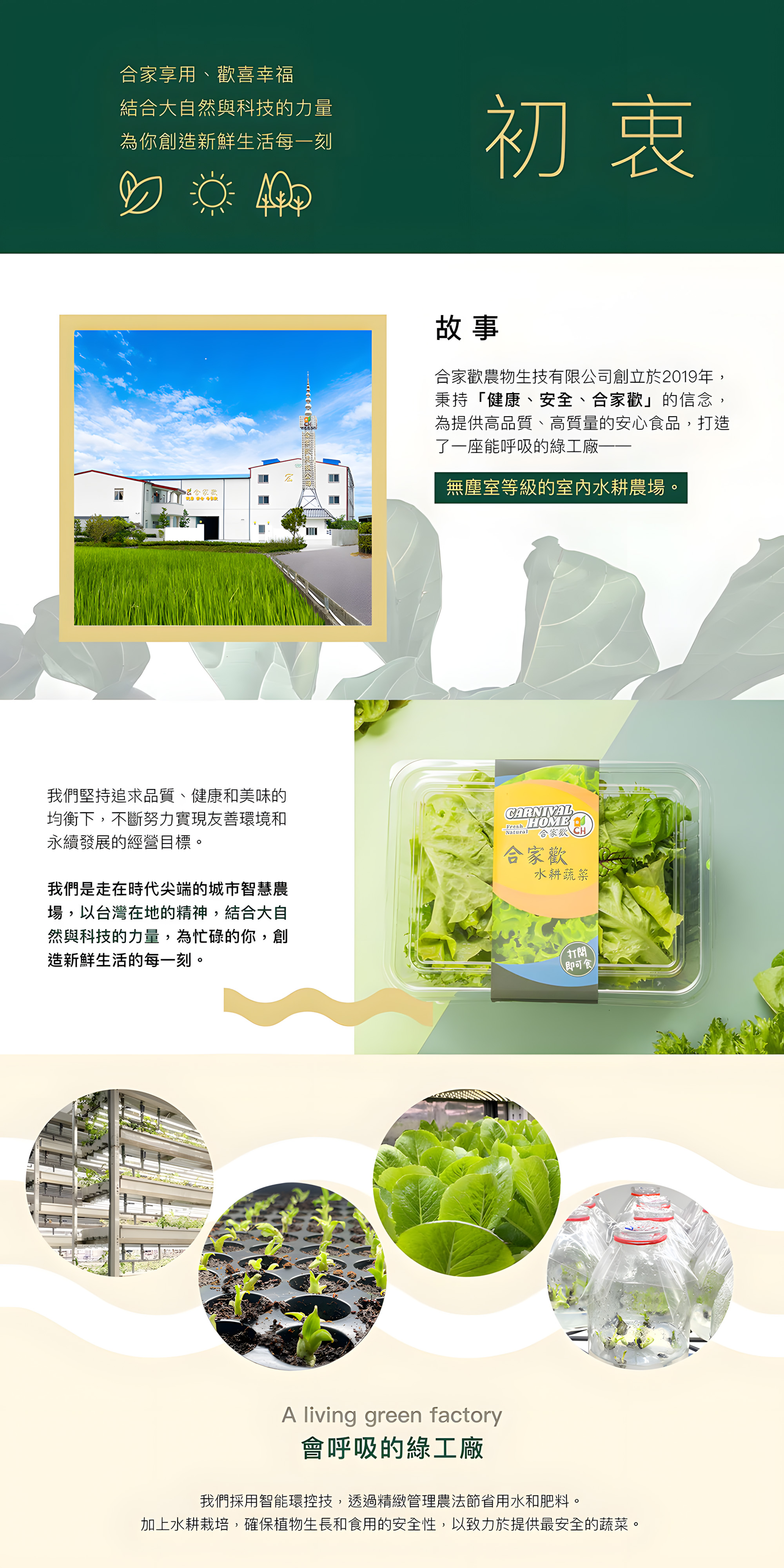 合家歡綜合生菜 4